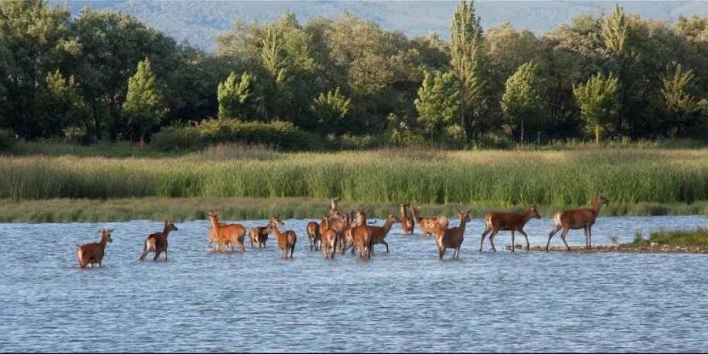 Lugar Anillo Verde de Vitoria - Parque de Salburua