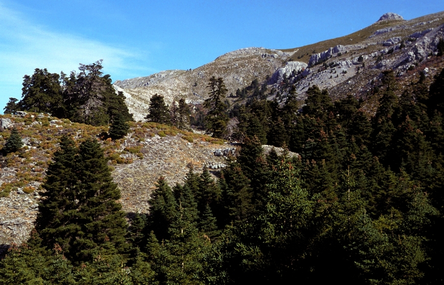 Place Sierra de las Nieves