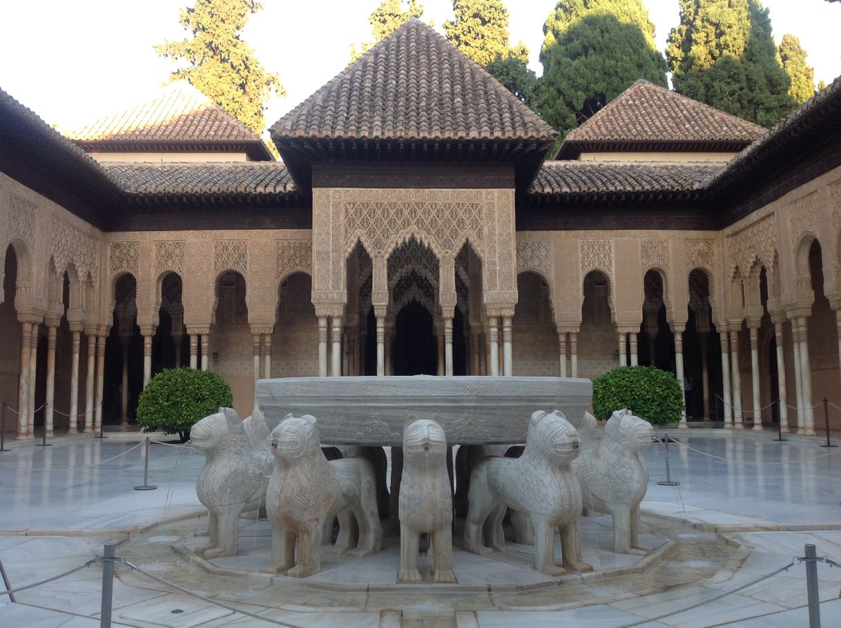 Place Patio de Los Leones