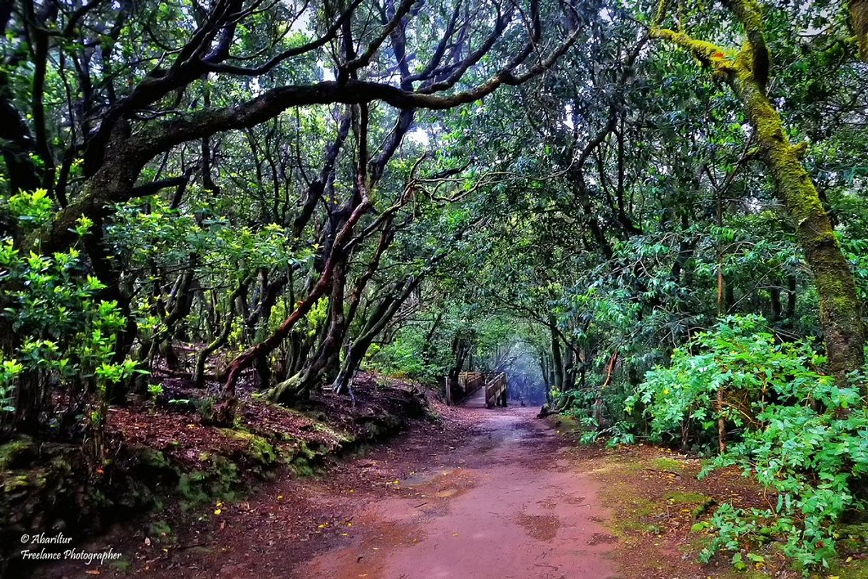 Lugar Parque Rural de Anaga