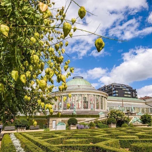 Jardín Botánico de Bruselas