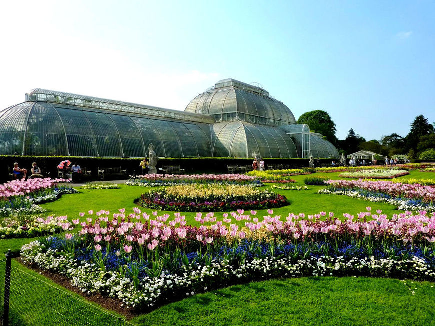 Place Real Jardín Botánico de Edimburgo