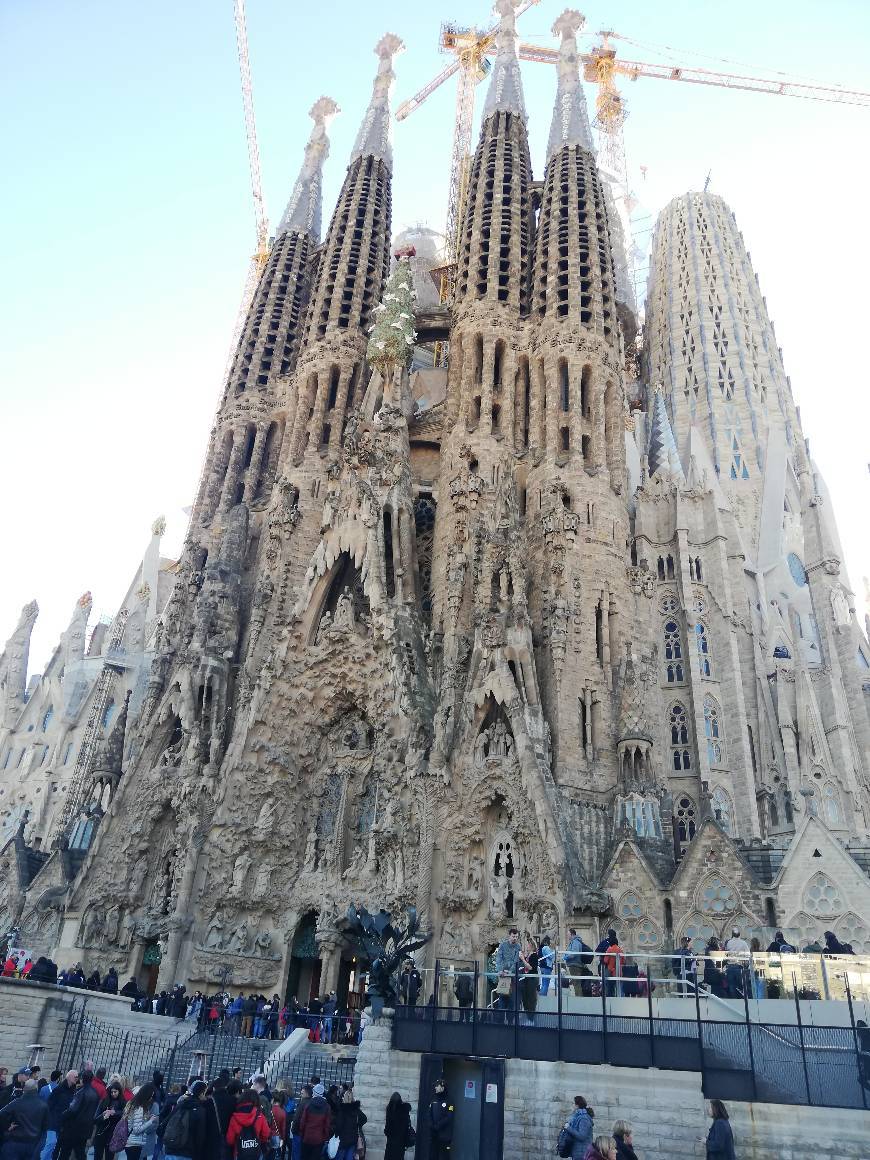 Lugar Basílica Sagrada Familia