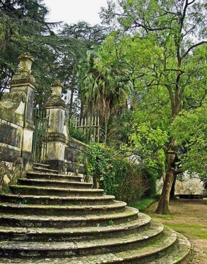 Lugar Jardim Botânico da Universidade de Coimbra