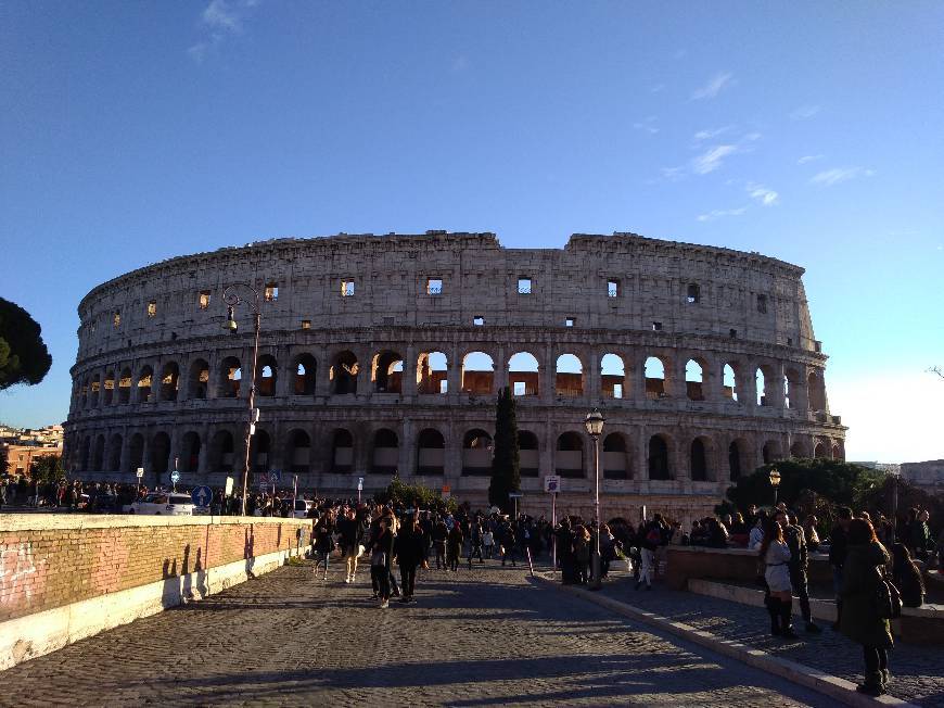 Lugar Coliseo de Roma