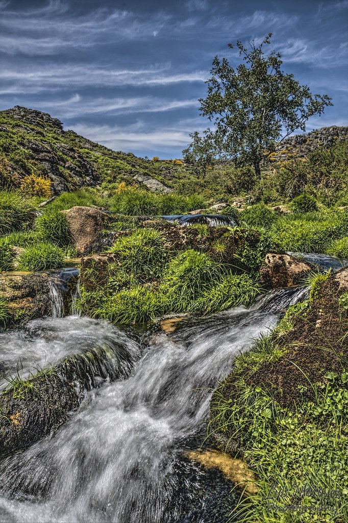 Lugar Serra da Freita