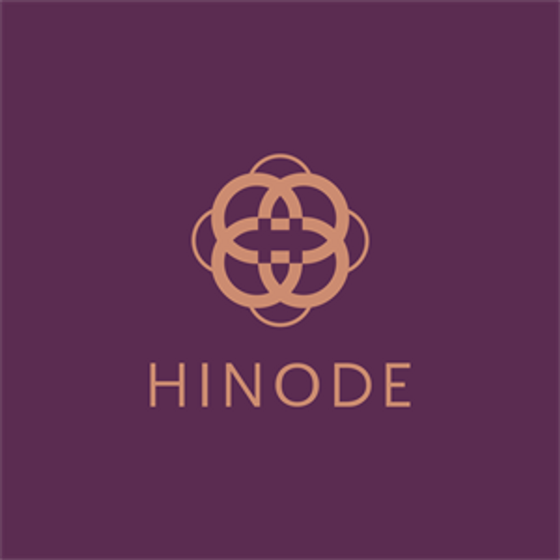 Moda Grupo Hinode