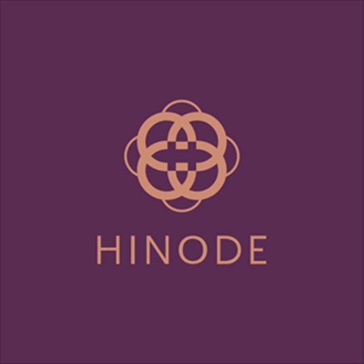 Grupo Hinode