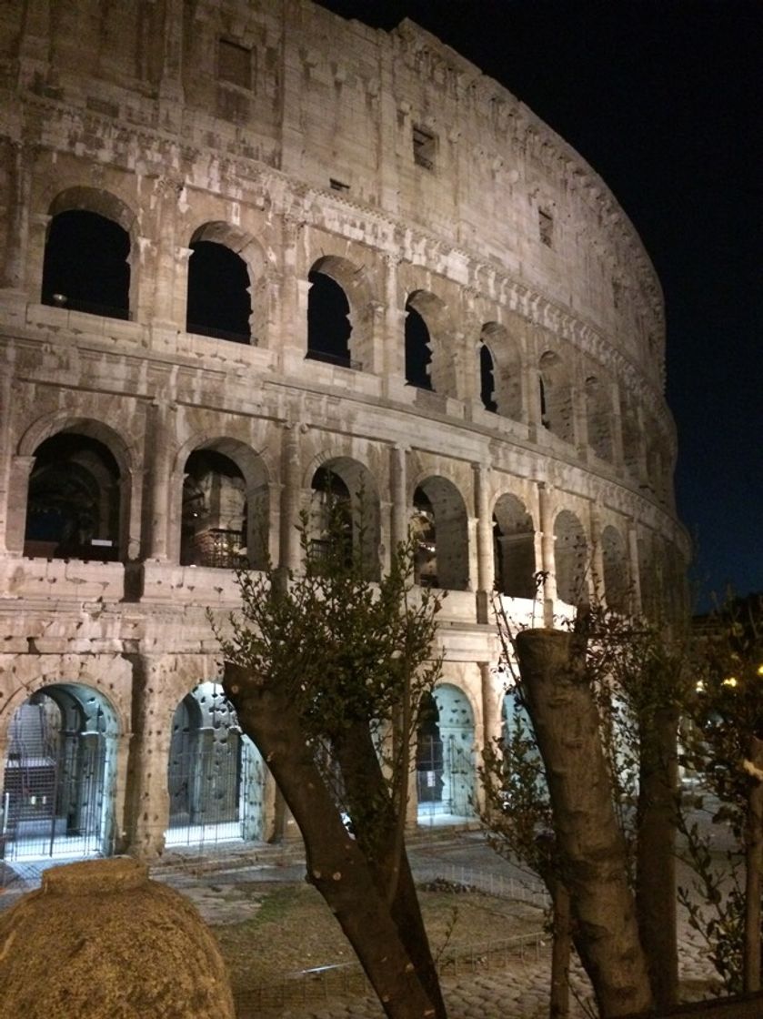 Lugar Coliseo de Roma