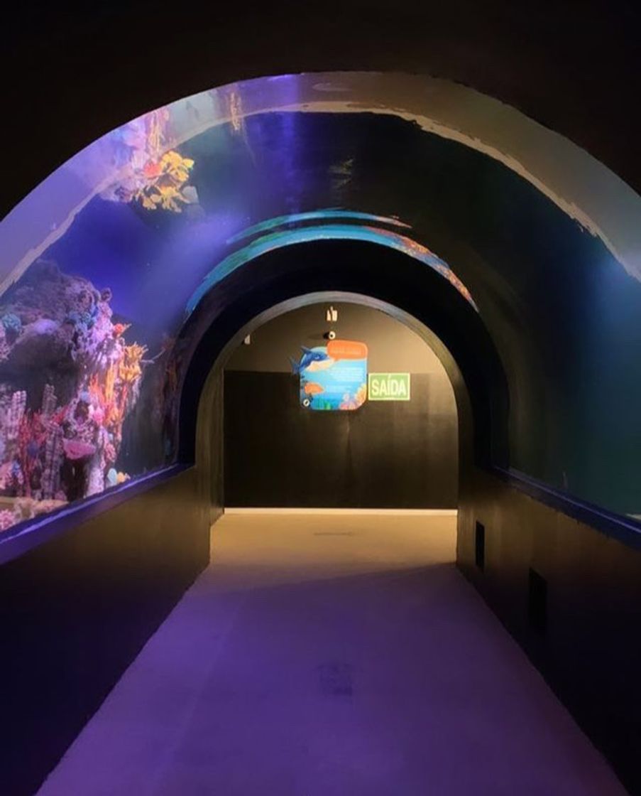 Place Oceanic Aquarium