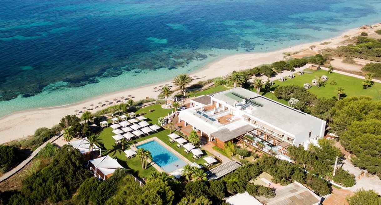 Restaurants Gecko Hotel & Beach Club