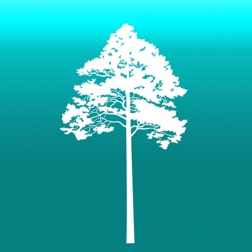 App Arboreal - Altura del árbol