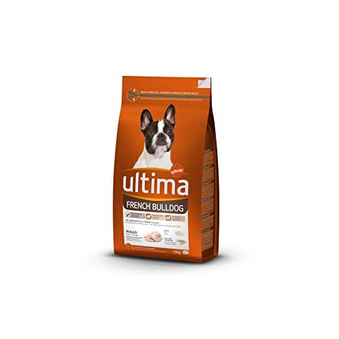 Product Ultima French Bulldog