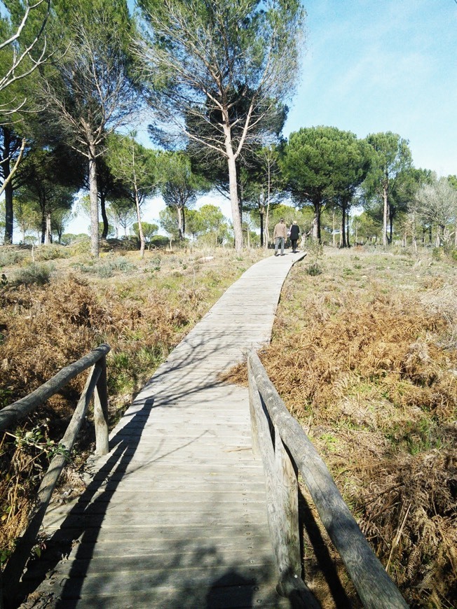 Place Doñana