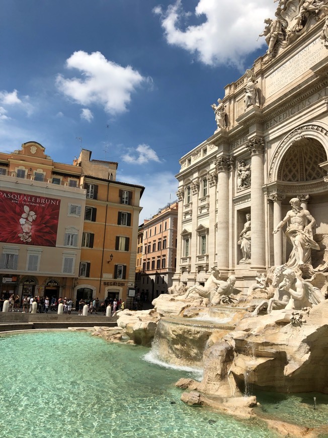 Place Fontana di Trevi