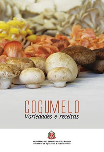 Cogumelo: variedades e receitas