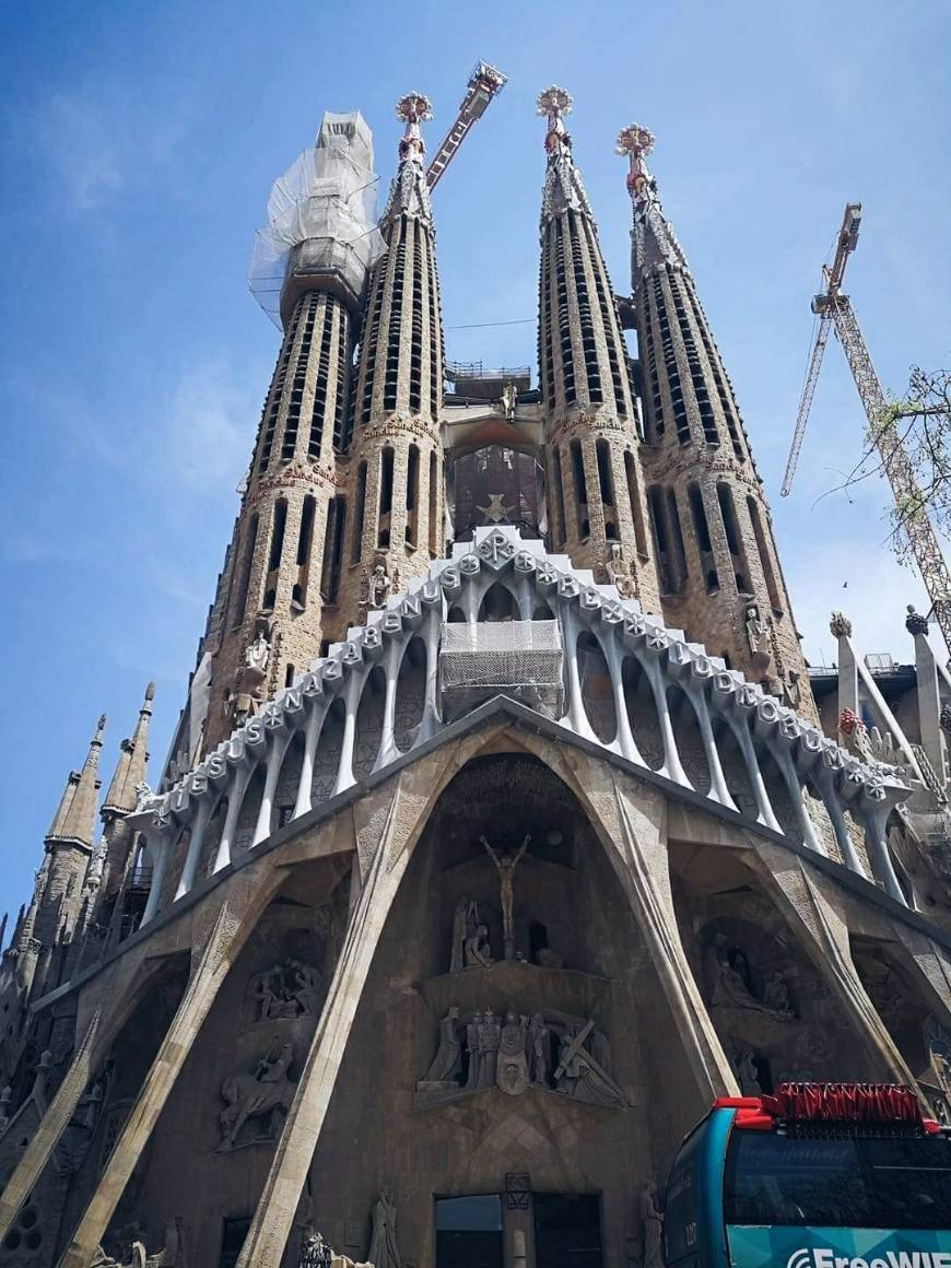 Place Catedral de Barcelona