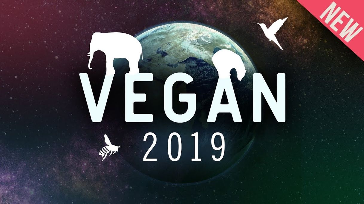 VEGAN 2019
