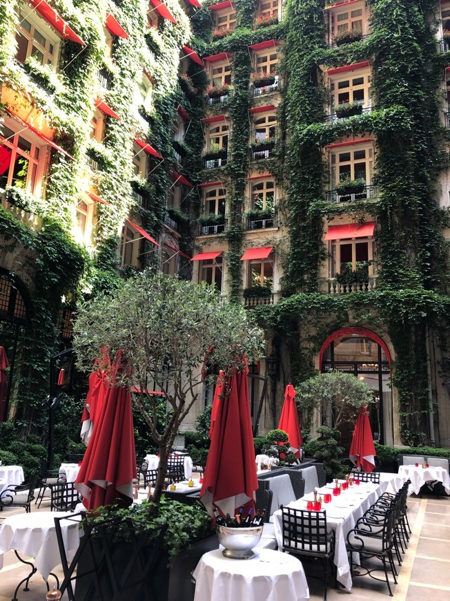 Lugar Hôtel Plaza Athénée