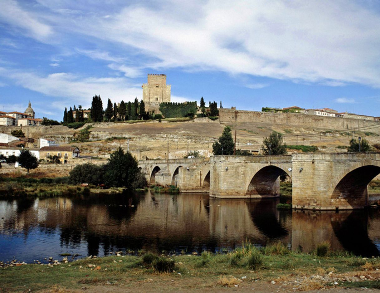 Place Ciudad Rodrigo