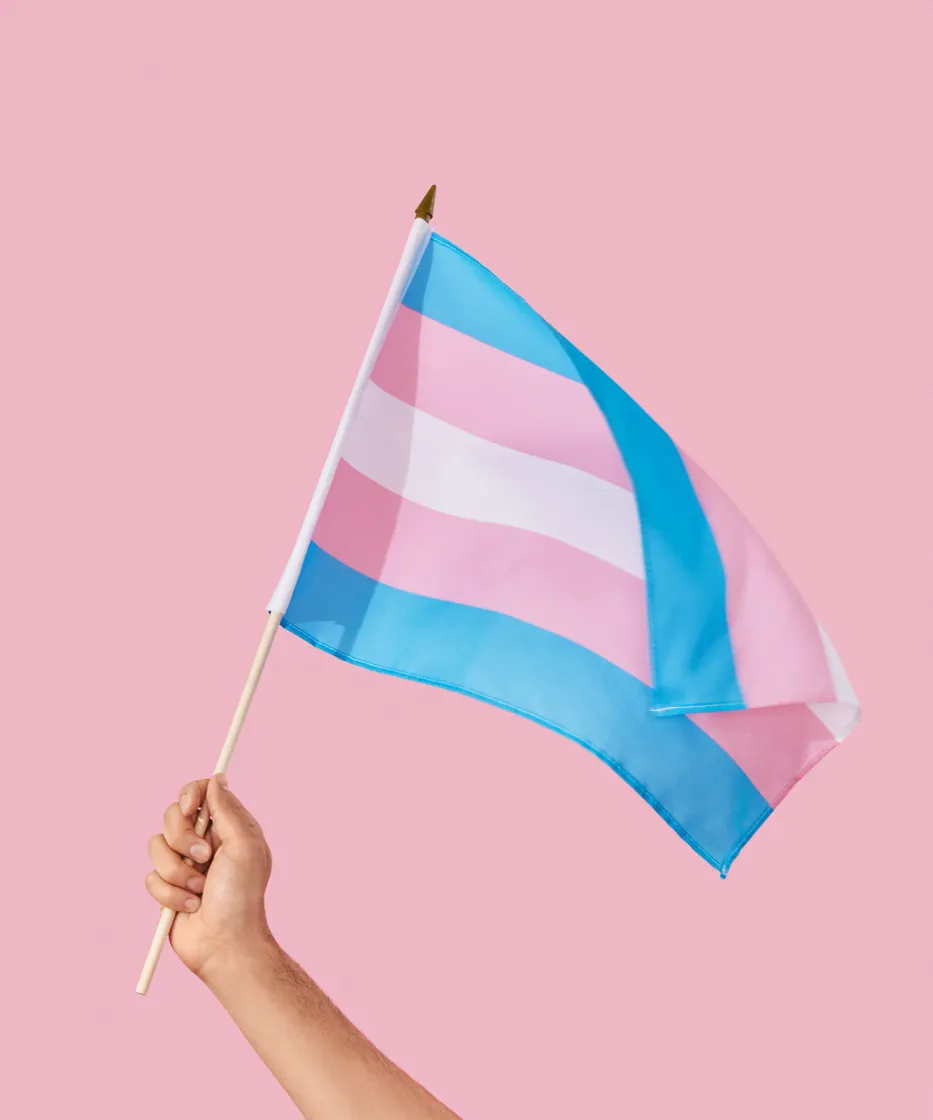 Moda trans flag