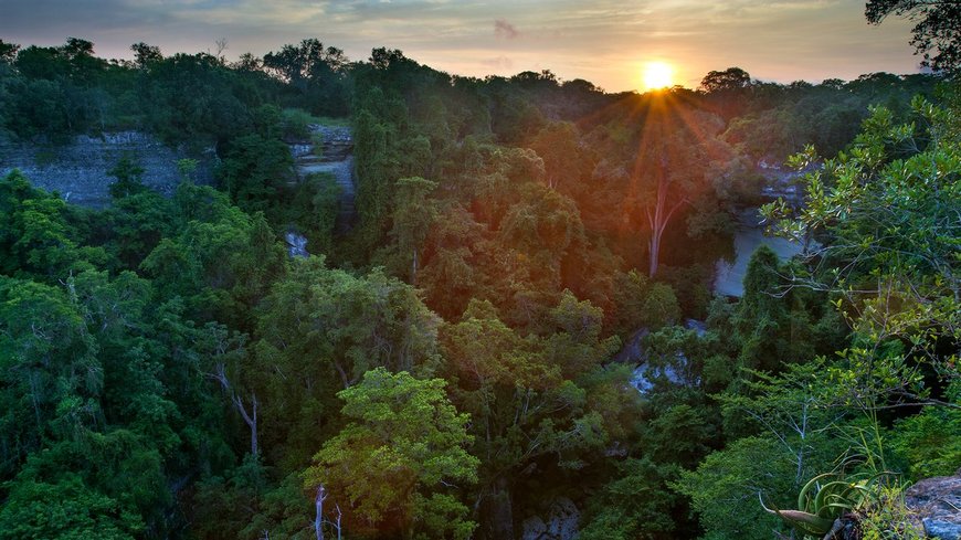 Place Gorongosa National Park