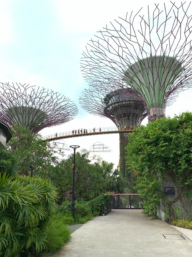 Lugar Gardens by the Bay