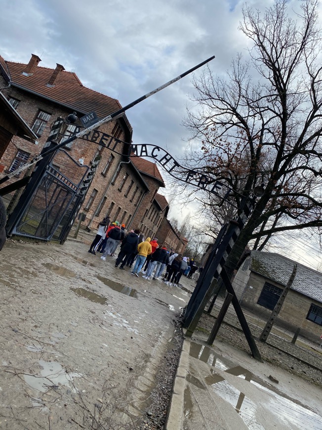 Lugar Auschwitz II-Birkenau