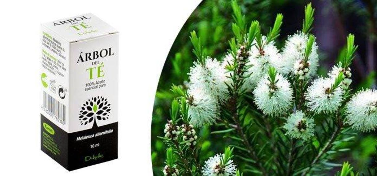 Productos Aceite árbol de té