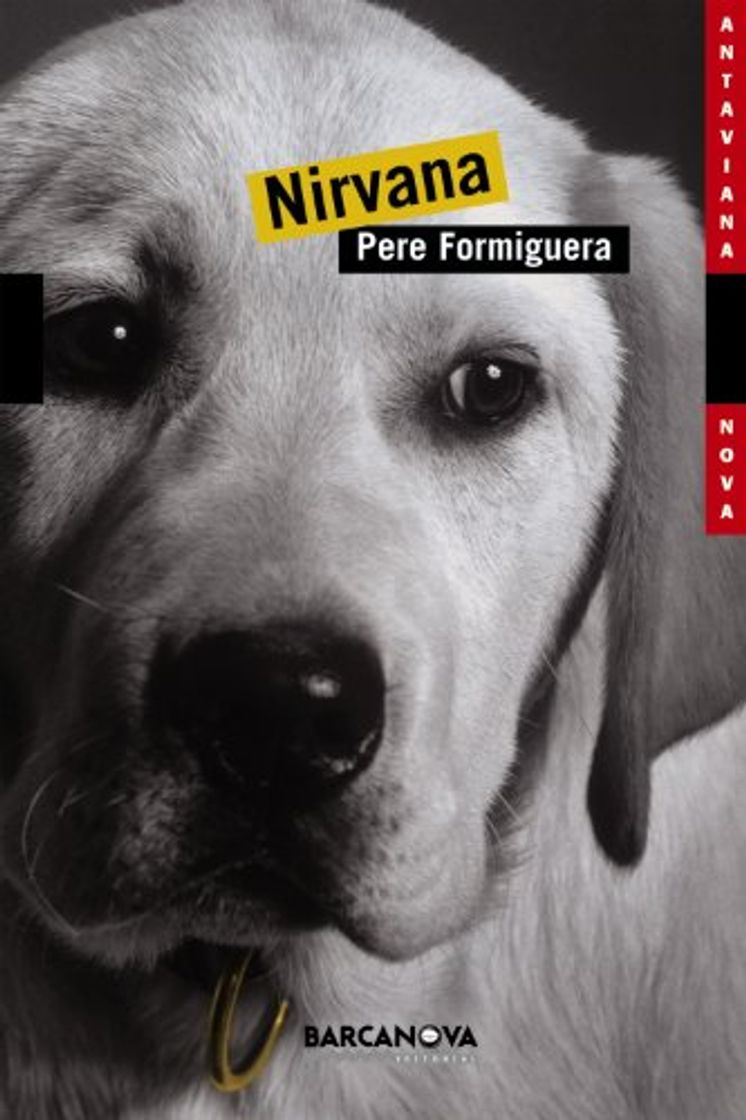 Libro Nirvana