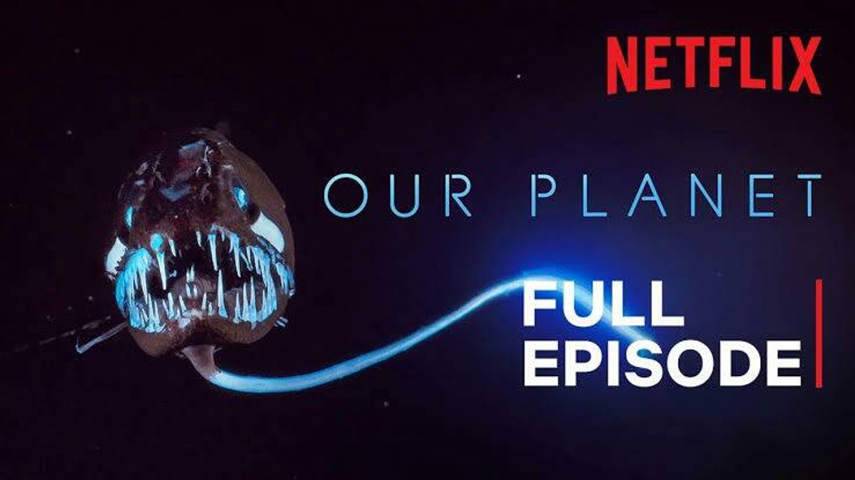 Fashion Our Planet | High Seas | FULL EPISODE | Netflix - YouTube