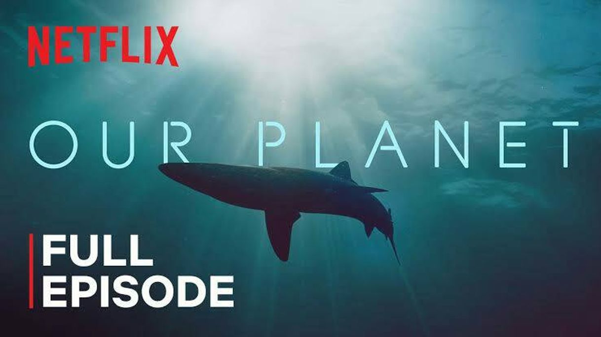 Fashion Our Planet | Coastal Seas | FULL EPISODE | Netflix - YouTube