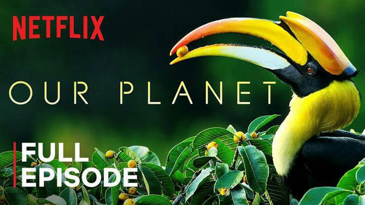 Moda Our Planet | Forests | FULL EPISODE | Netflix - YouTube