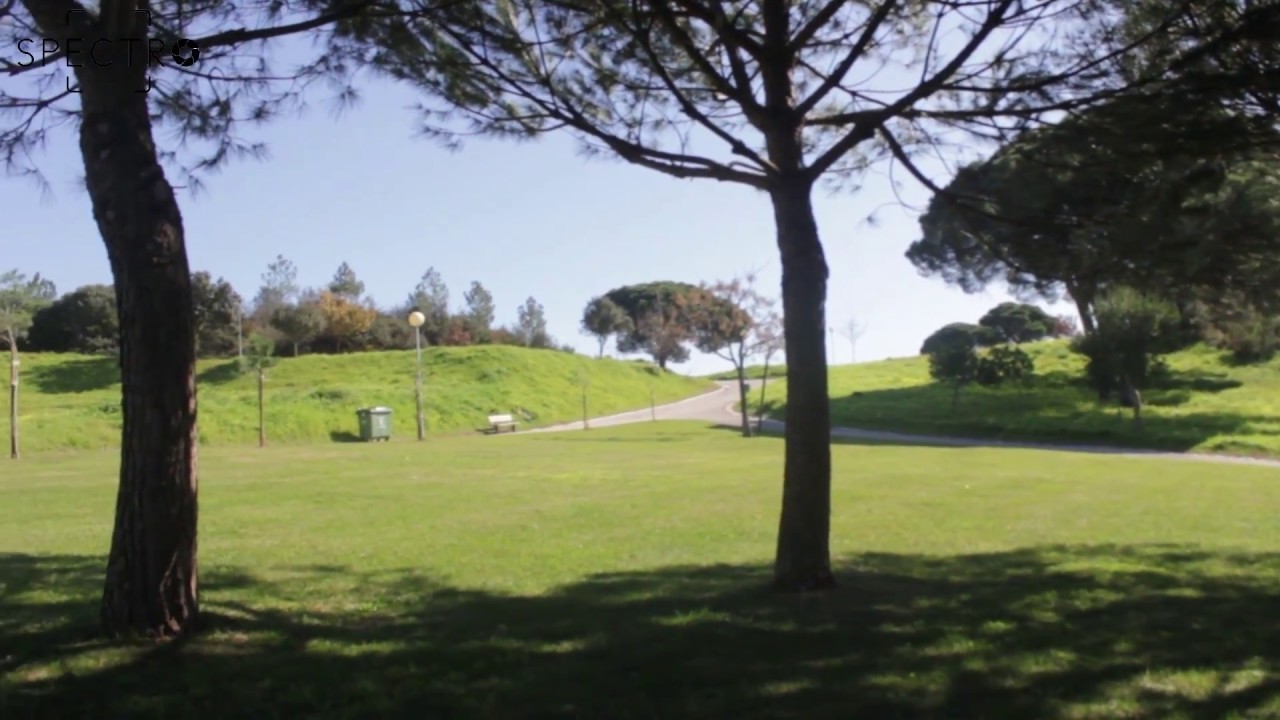 Lugares Parque Verde da Bela Vista