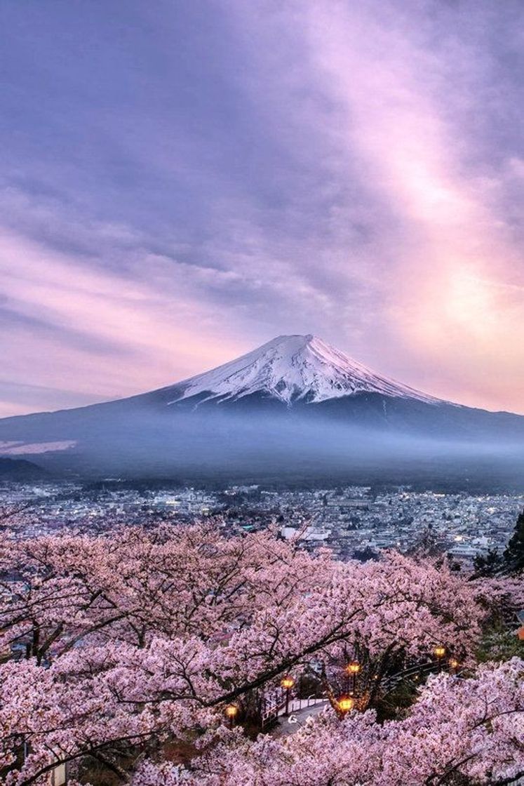 Fashion Monte Fuji - Japão