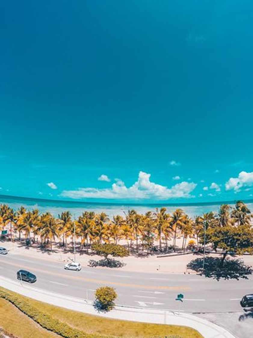 Producto Alagoas Orto - Maceió