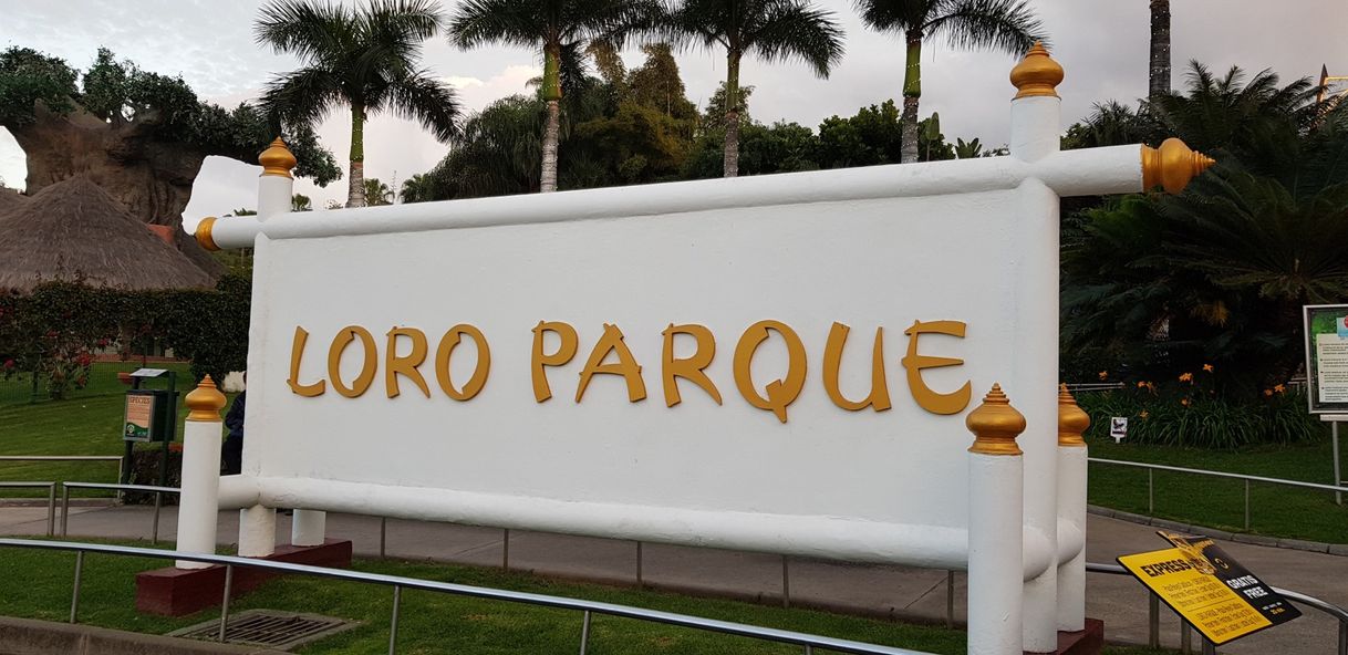 Lugar Loro Parque