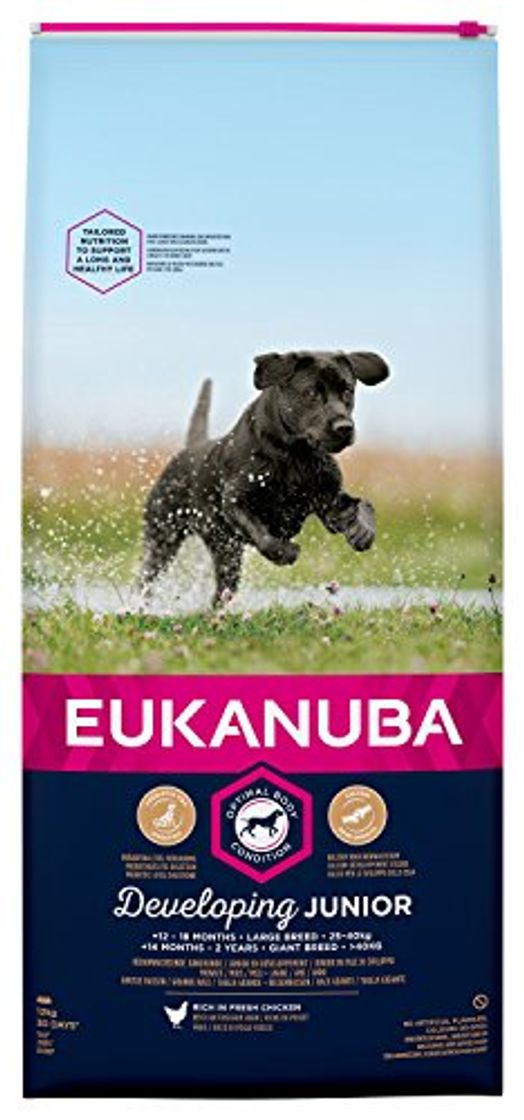Social EUKANUBA Junior en Desarrollo Raza Grande rico en pollo fresco [12 kg]