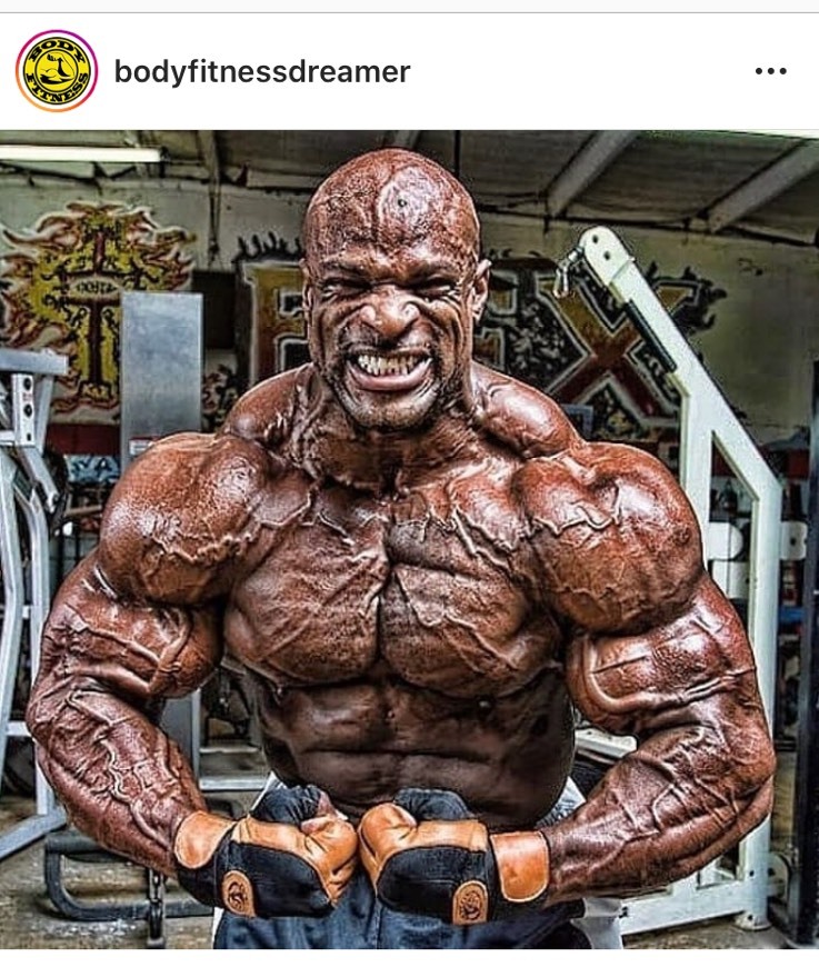 App Bodyfitness