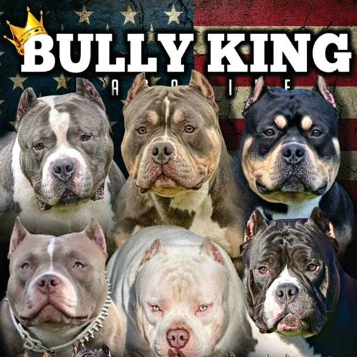 App BULLY KING Magazine