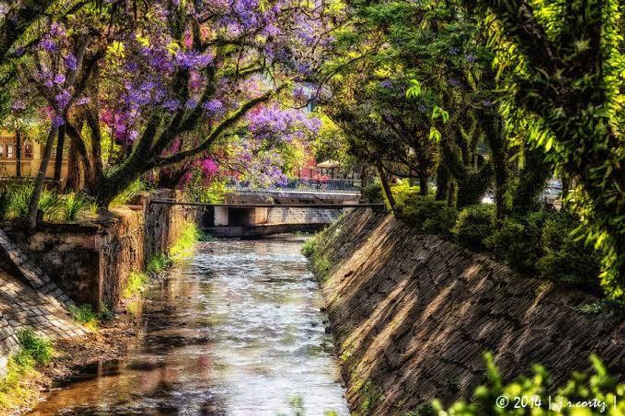 Lugares Parque José Affonso Junqueira