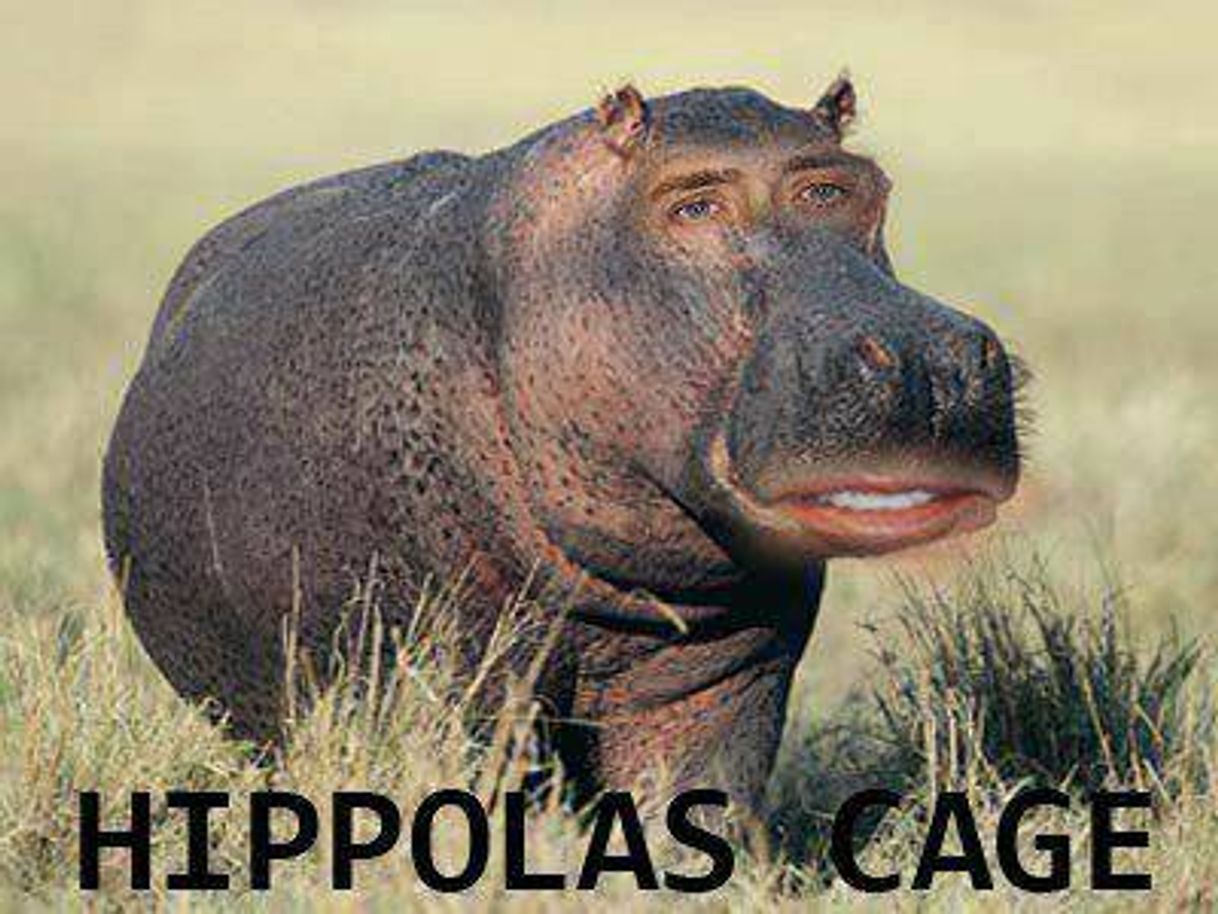 Fashion Hippolas cage