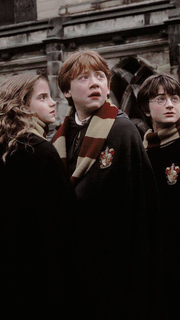 Fashion Ron, Hermione e harry