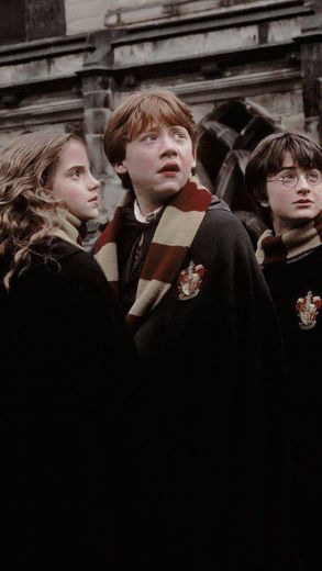 Ron, Hermione e harry
