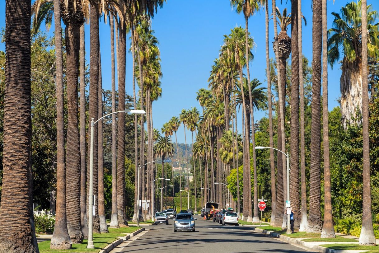 Moda Intercâmbio teen Los Angeles 🤩🤩