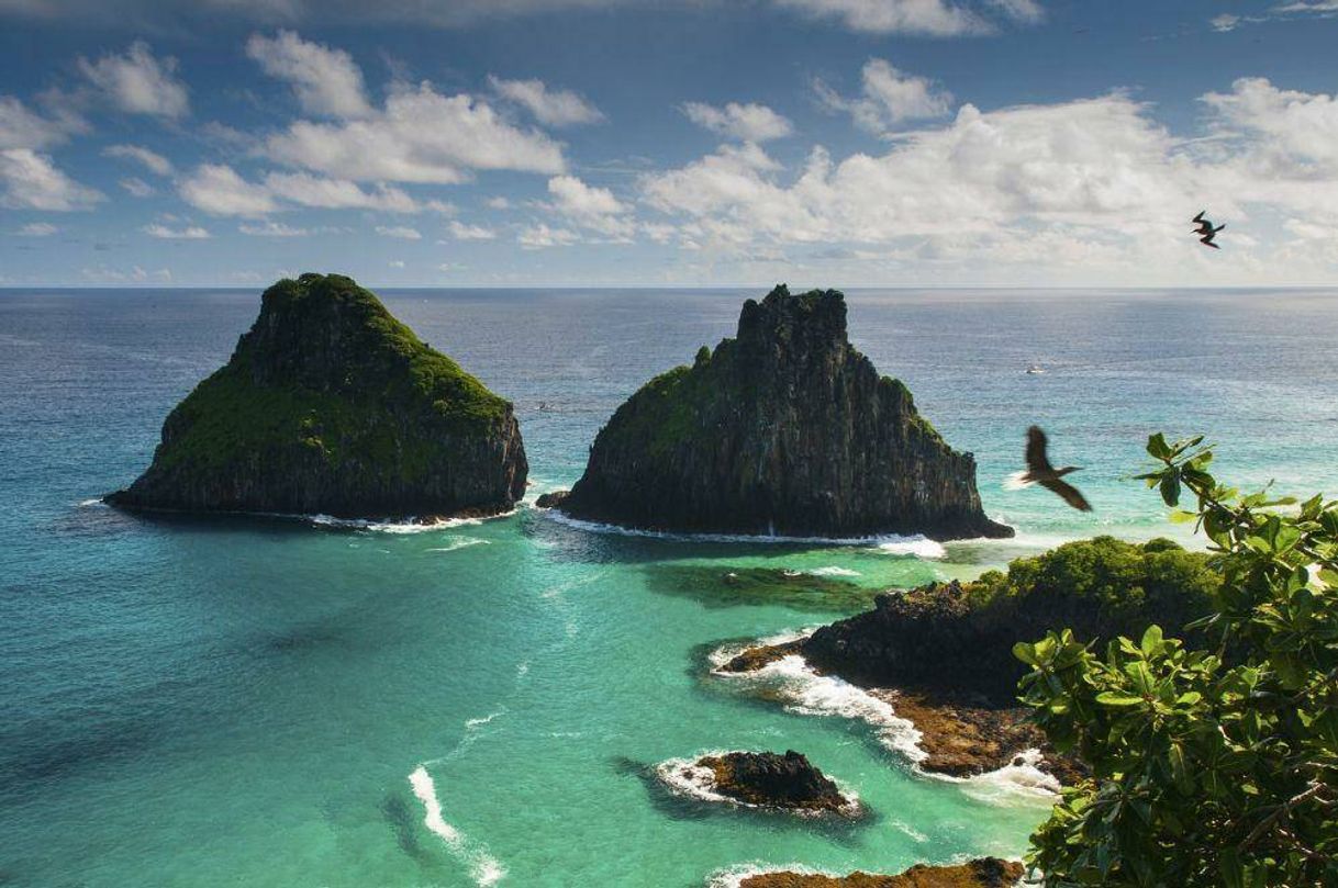 Lugar Fernando de Noronha 