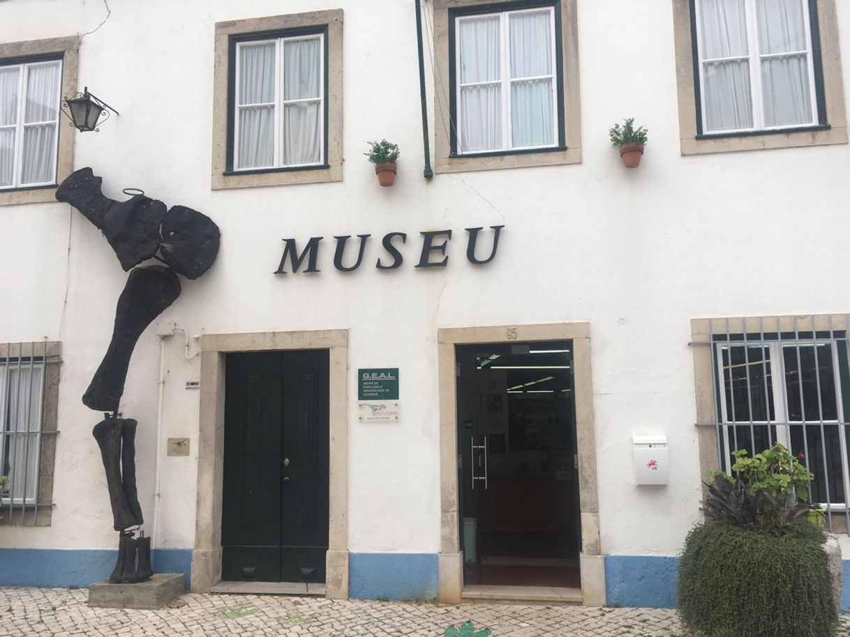 Lugar Museu da Lourinhã