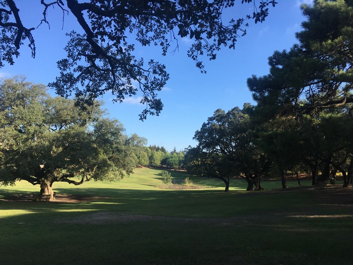 Lugar Parque da Paz