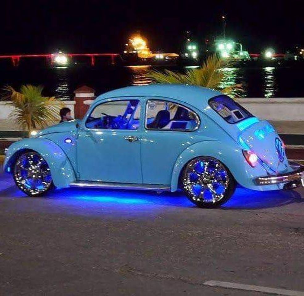 Fashion Fusca