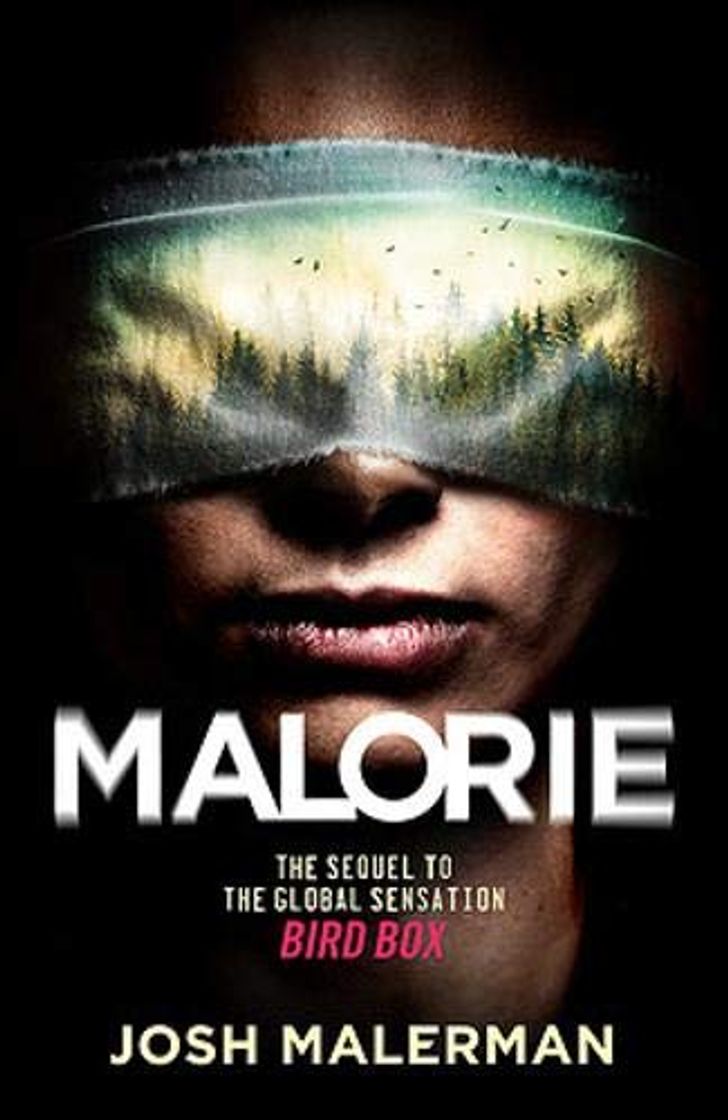 Libro Malorie: The much-anticipated Bird Box sequel